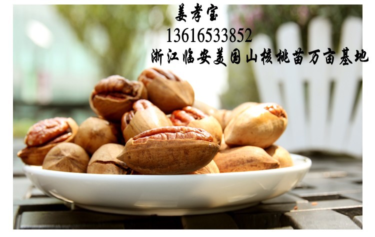 23_conew1