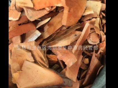 中药材半枫荷中药材枫荷桂白背枫铁巴掌长期供应批量供应量大从优图3
