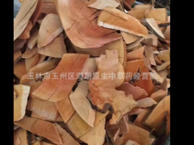 中药材半枫荷中药材枫荷桂白背枫铁巴掌长期供应批量供应量大从优图2