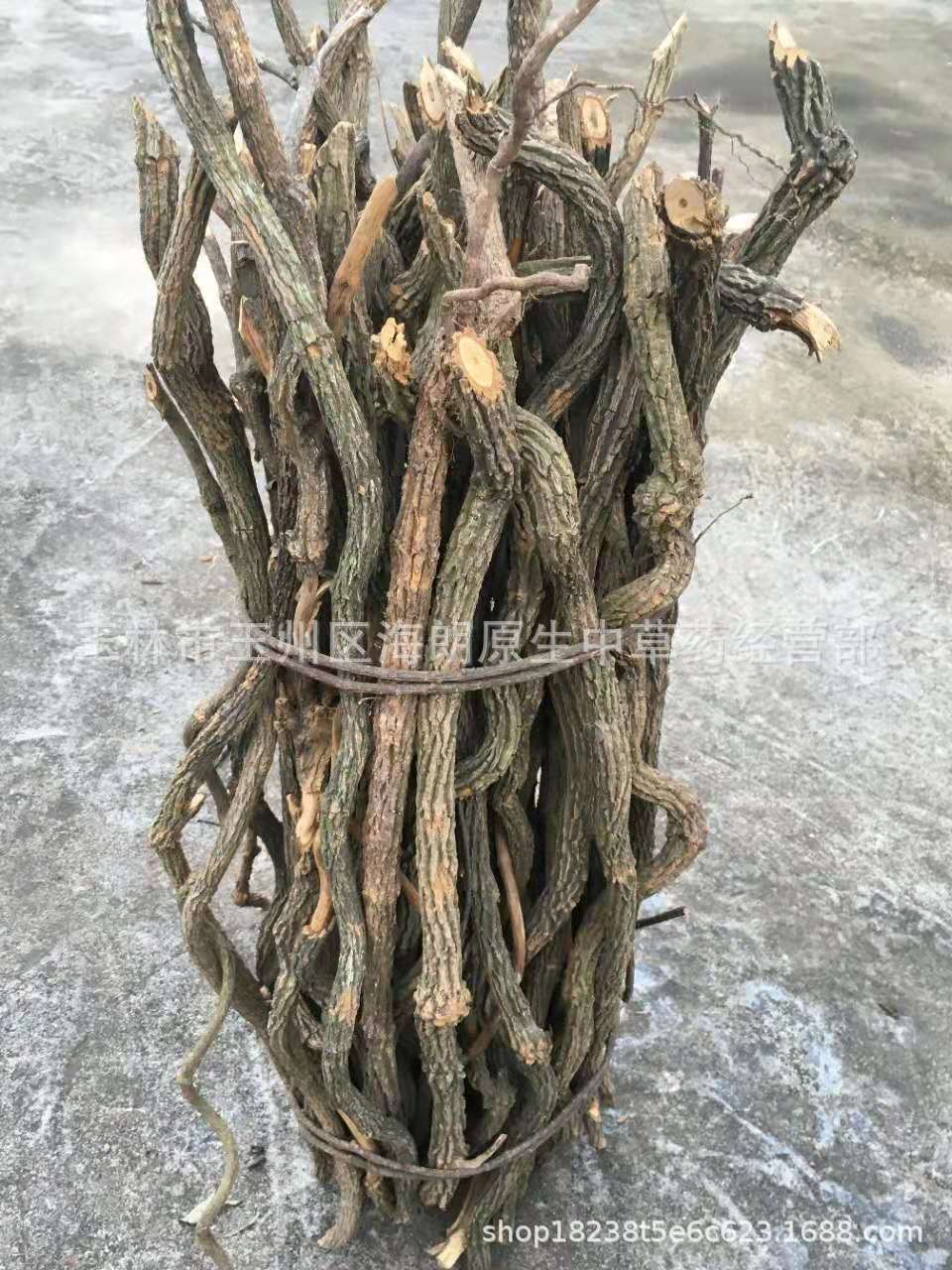 断肠草5