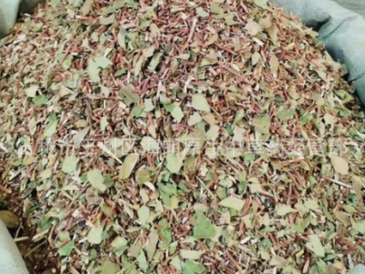 中药材银花藤中药材忍冬藤片大薜荔水杨藤千金藤批量供应量大从优图2