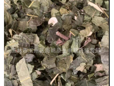 中药材三叉虎叶子中药材三叉苦叶子三桠苦三丫苦批量供应量大从优图5