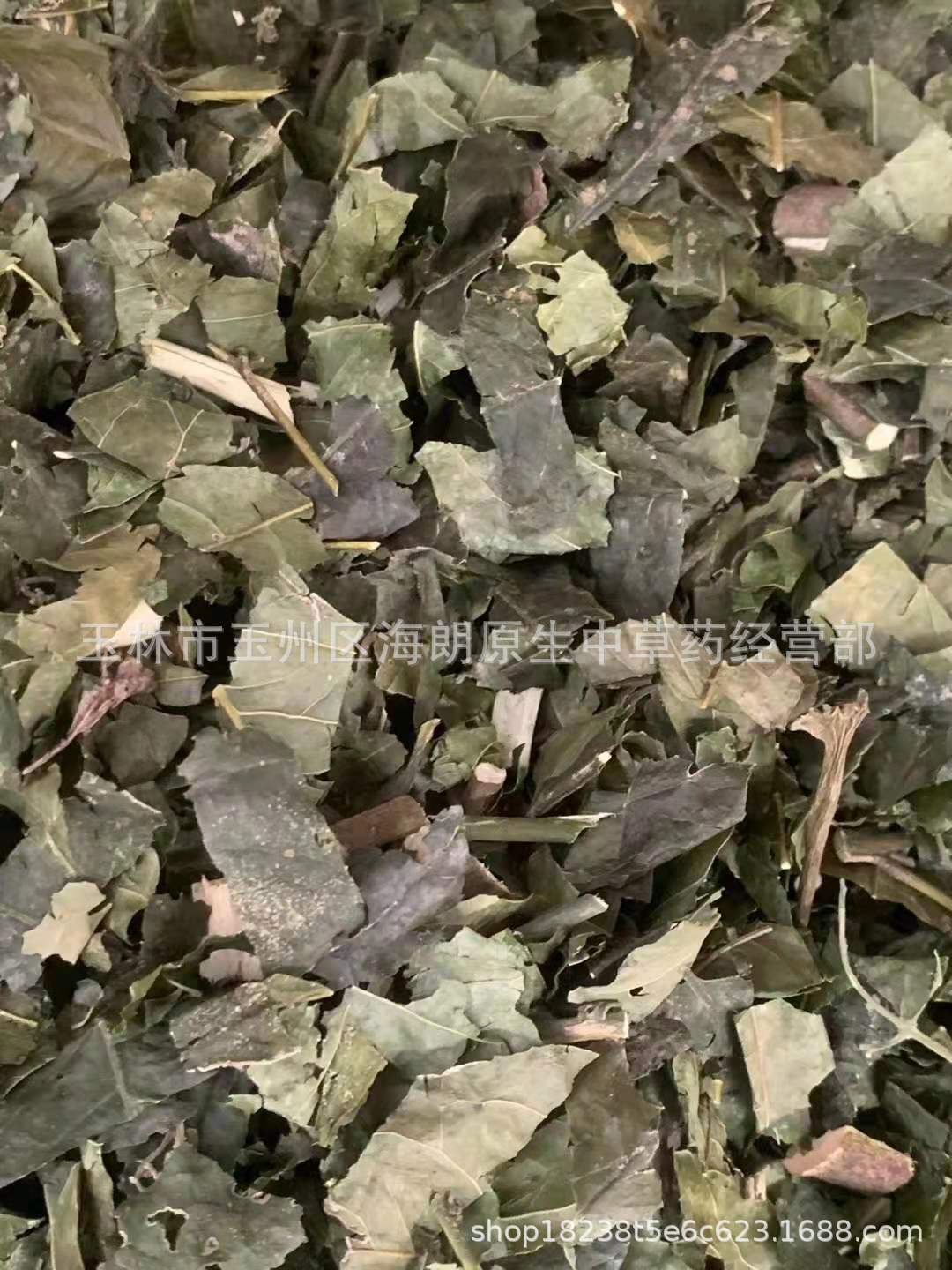 三叉虎3