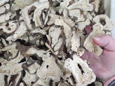 中药材批发白术冬术麸炒白术片川白术手选大片 量大价优 湘起之秀图3