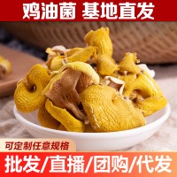 鸡油菌 云南特产 榆黄蘑菇黄金菇 蘑菇干货批发产地直批 一件代发