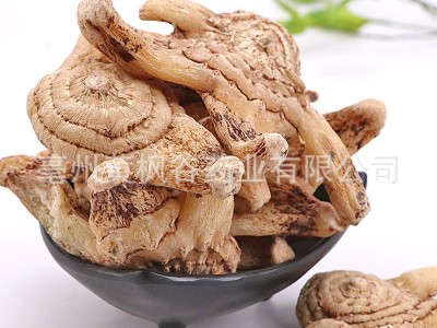 黄枫谷药业 批发供应 白芨白根 地螺丝 白鸡儿 连及草 羊角七图3