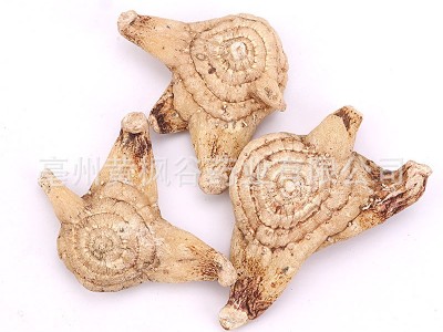 玉竹片批发玉竹药食同源煲汤大货玉竹散装批发零售玉竹量大从优图5