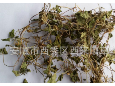 厂家直销积雪草 马蹄草 中药材 积雪草 产地直销图5