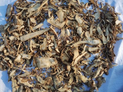 百草居中药材当归头片产地无熏当归片当归粉各种规格批发当归图5