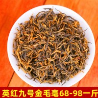 新茶英德红茶英红九号浓香型金毛毫批发春茶散装醇香型罐装老树茶