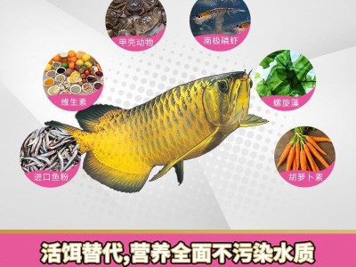 HD668寸金大龙鱼粮1000克金龙鱼饲料红龙鱼食银龙鱼饲料 龙鱼鱼食图3