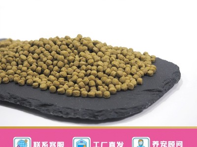 NO313寸金鱼粮500g红叶观赏鱼饲料金鱼饲料锦鲤饲料 锦鲤鱼粮图2