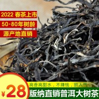 产地货源 云南普洱茶 生茶散茶 2022明前大树春 散料批发