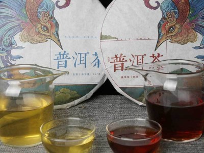 云南普洱熟茶饼茶357g普洱茶饼生茶七子饼熟茶勐海片区普洱茶饼图3