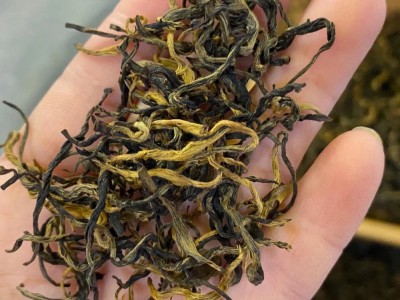2022年早春金骏眉散茶桂圆香薯香蜜香茶汤绵柔醇厚十二泡高山厂家图2