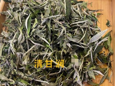 2022年新茶高山白牡丹日晒花香奶香冰糖甜鲜爽散茶厂家图2