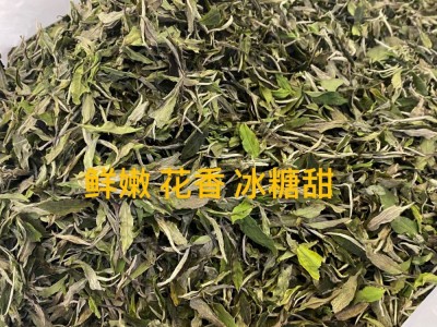 2022年新茶高山白牡丹日晒花香奶香冰糖甜鲜爽散茶厂家图3