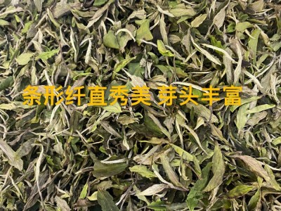 2022年新茶高山白牡丹日晒花香奶香冰糖甜鲜爽散茶厂家图4