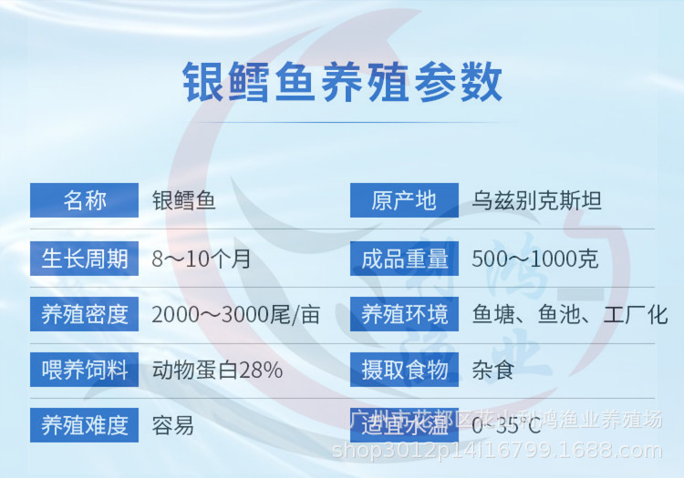 10611174235_720772315_副本