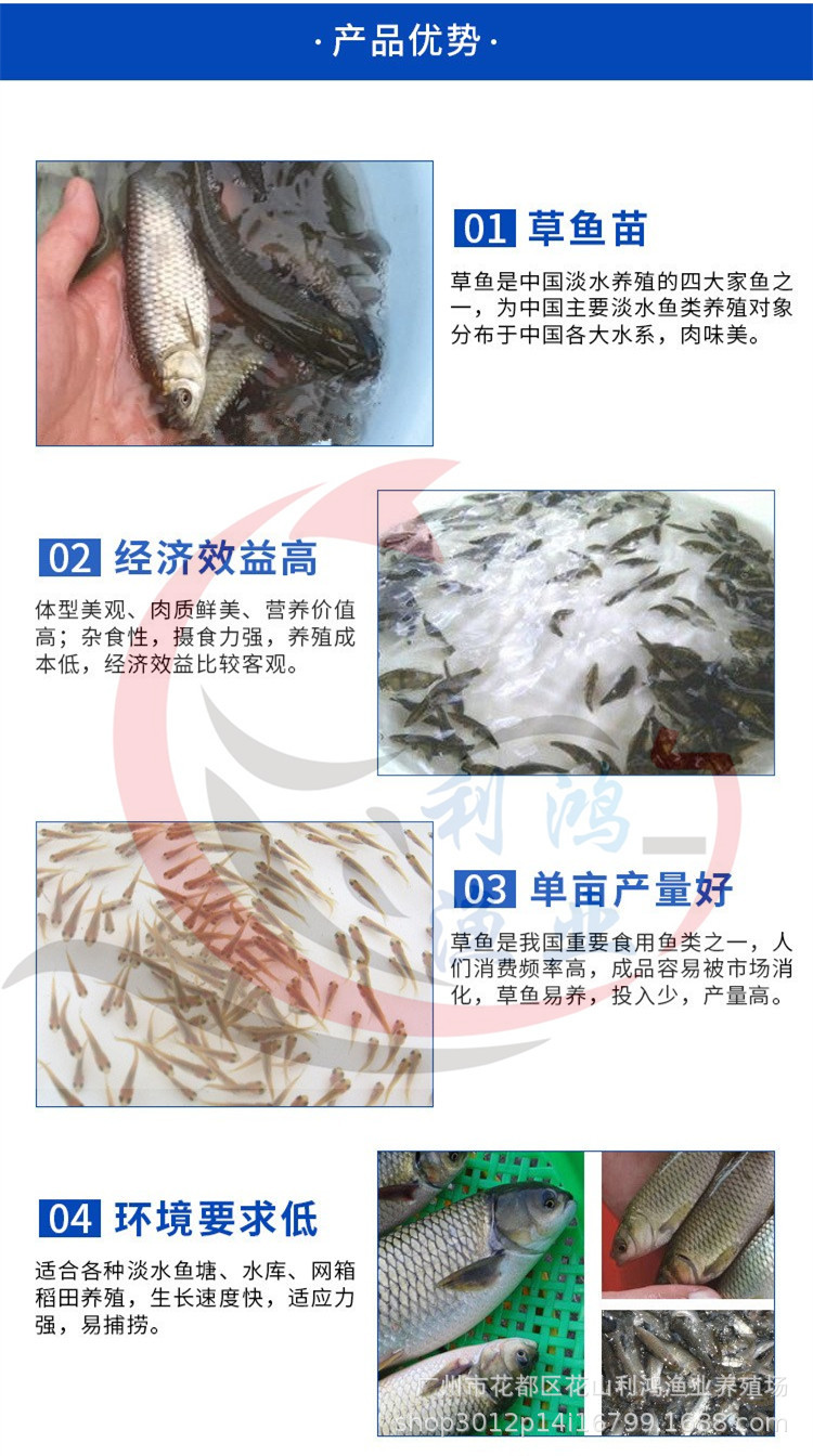 initpintu_副本
