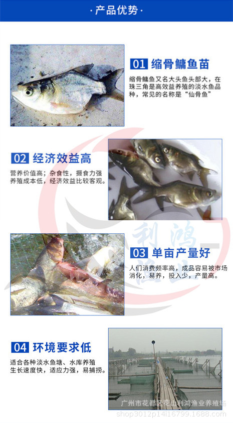 10640788477_720772315 (1)_副本