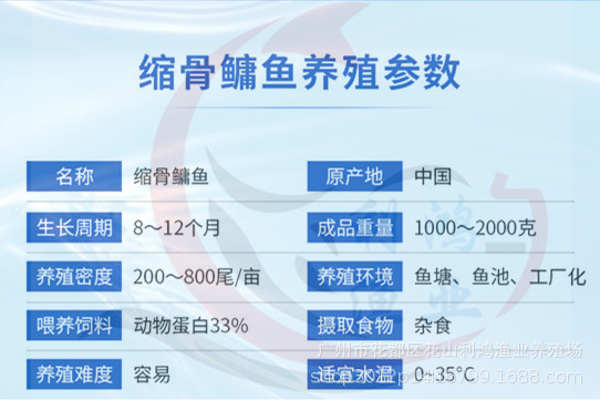 10611585624_720772315_副本