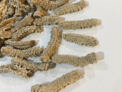 特产深海淡干黄金刺参 海参干货黄肉刺参白刺参刺王参100头500克图3