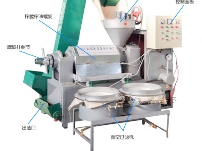 大豆冷榨豆油机家用棉籽玉米葵花籽轧油机图片螺旋榨油机价格图3