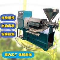 全自动棉籽榨油机棕榈油核桃油榨油机 葵花籽菜籽螺旋中型榨油机