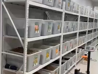 夏季蔬菜种子白菜庭院种菜四季播种蔬果种子菜种子四季蔬菜种子图4