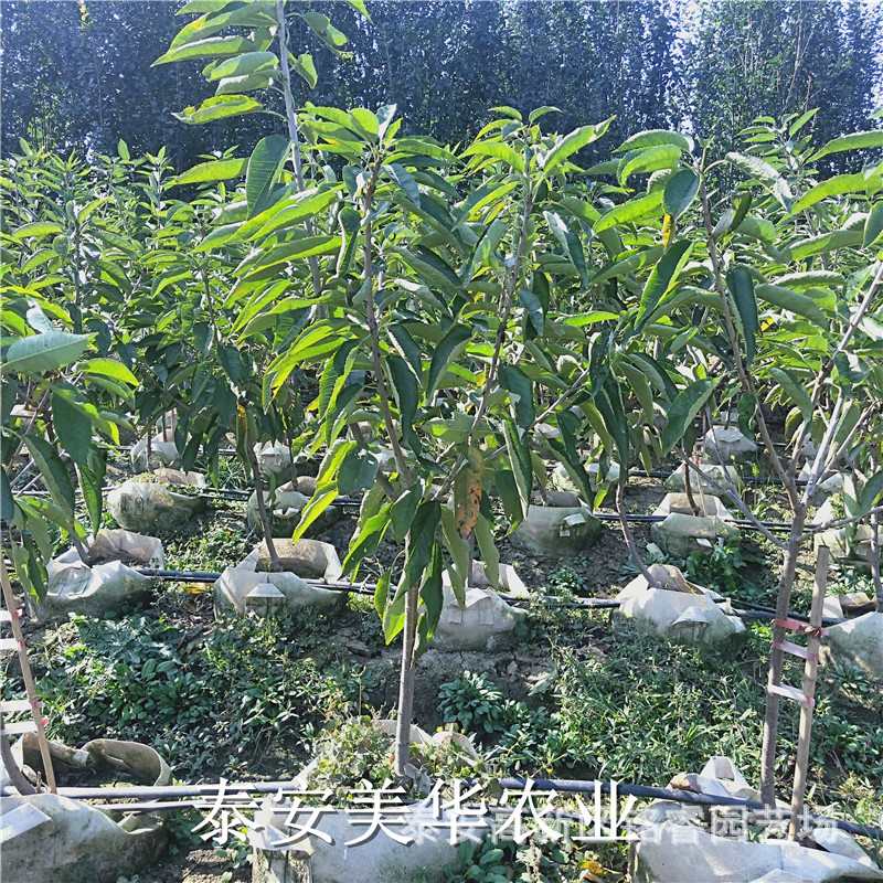 微信图片_20191021154114.jpg