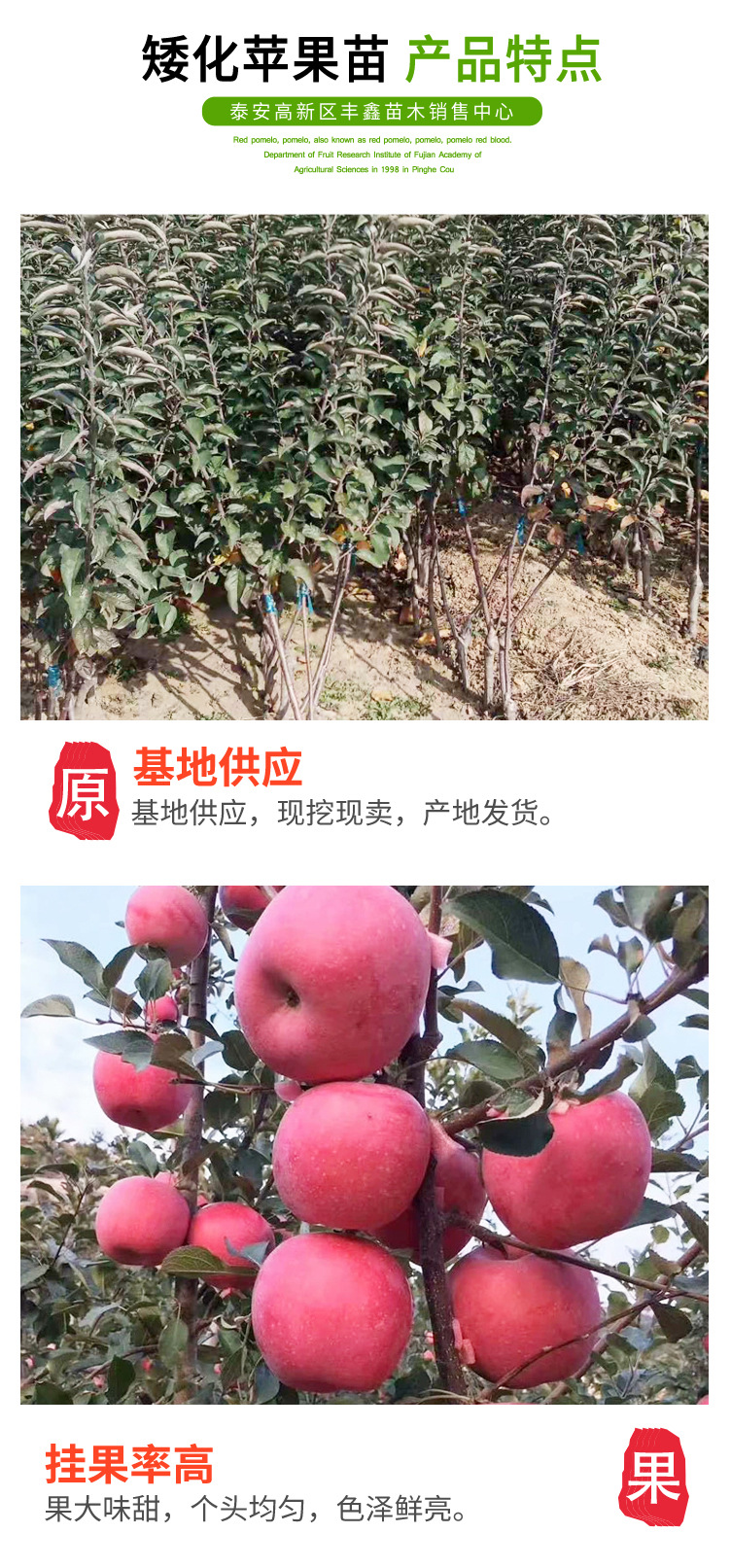 LS(42)-1_03.jpg