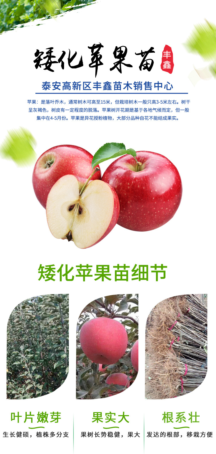 LS(42)-1_01.jpg