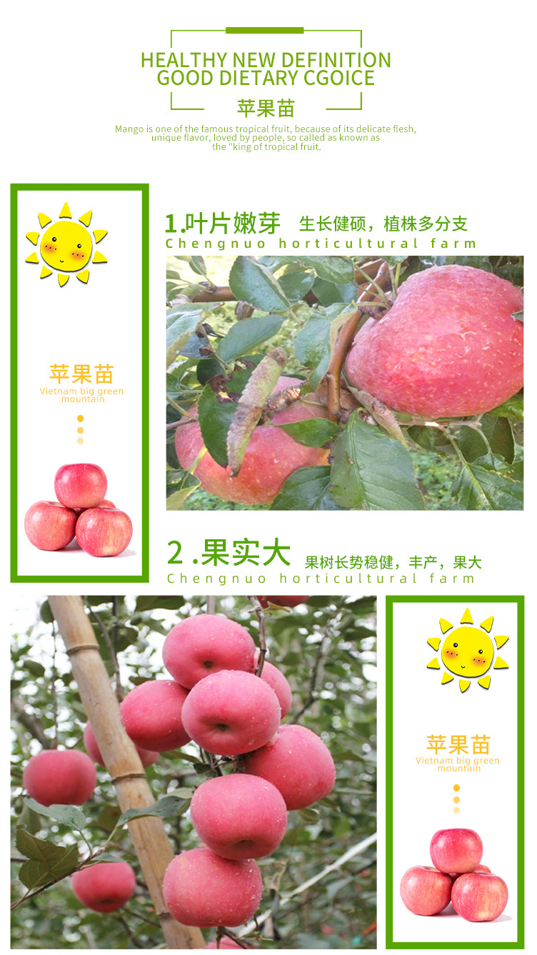 苹果苗_02.jpg