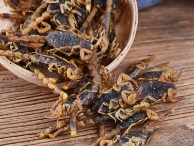 选装批发供应中药材清水全蝎 蝎子 全虫无杂质 量大价优免费打粉图4