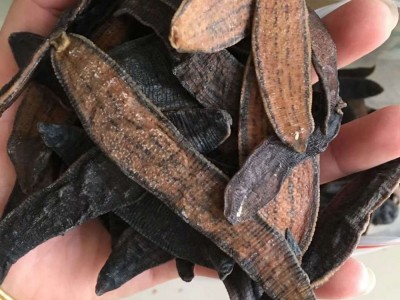 中药材干水蛭250克生宽体水蛭粉金边蚂蟥金线蛭 另有炮制水蛭图4
