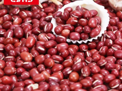 绿色黄金红豆薏米红小豆400g五谷杂粮真空包装批发农产品图2