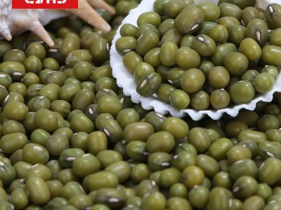绿色黄金东北绿豆400g五谷杂粮批发粗粮绿豆糕点饼农产品图2