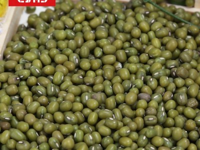 绿色黄金东北绿豆400g五谷杂粮批发粗粮绿豆糕点饼农产品图3