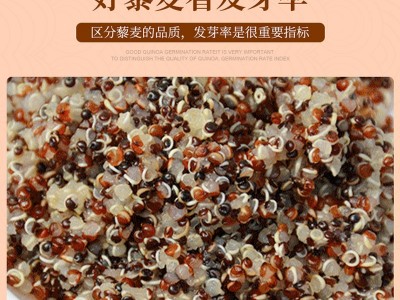 藜麦三色藜麦五谷杂粮代餐粗粮谷物白红黑藜麦三色糙米代餐饭 批发图3