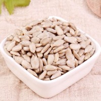 批发价新货生葵花籽仁袋装瓜子仁无壳原味葵瓜子仁烘培原料