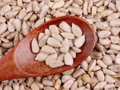 批发价新货生葵花籽仁袋装瓜子仁无壳原味葵瓜子仁烘培原料图4