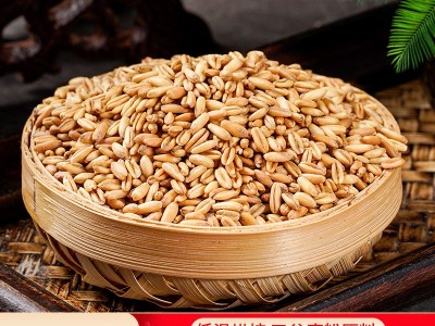 五谷杂粮低温烘焙燕麦米 500g熟燕麦磨粉超细粉现磨豆浆原料图2