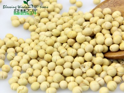 熟黄豆 5斤/包 五谷磨坊原料图5