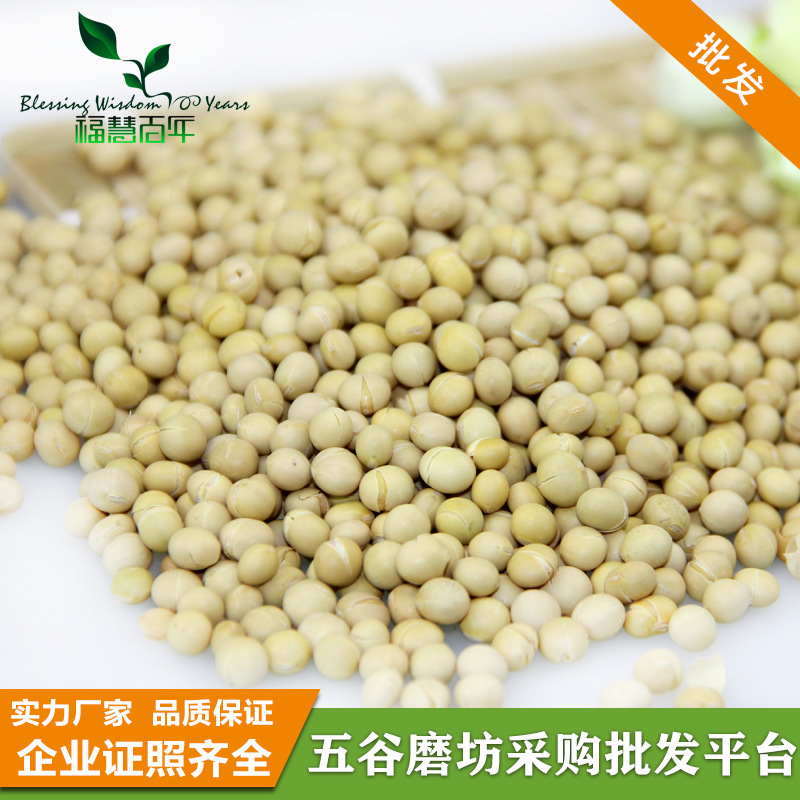 黄豆.jpg