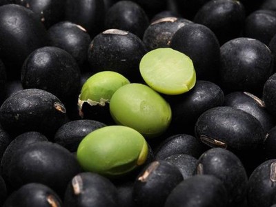 熟黑豆绿心熟五谷杂粮现磨原料五谷磨坊食材批发现磨豆浆原料厂家图2