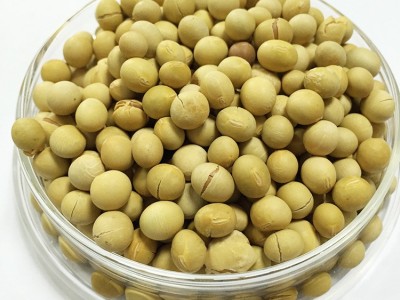 低温烘焙熟黄豆现磨豆浆原料散装批发直批豆浆商用磨粉熟豆子大豆图4