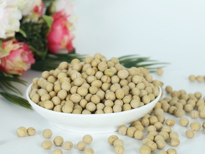 烘焙杂粮豆浆熟豆 支持厂家良品质东北黄豆现磨谷浆原料图2