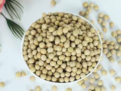 烘焙杂粮豆浆熟豆 支持厂家良品质东北黄豆现磨谷浆原料图4