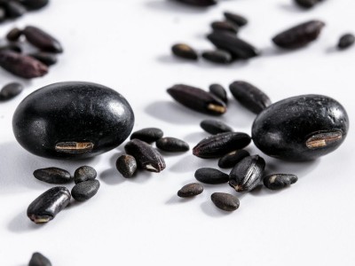 现磨黑芝麻豆浆 35克装三黑豆浆原料包可磨粉 低温烘培三黑豆浆图4